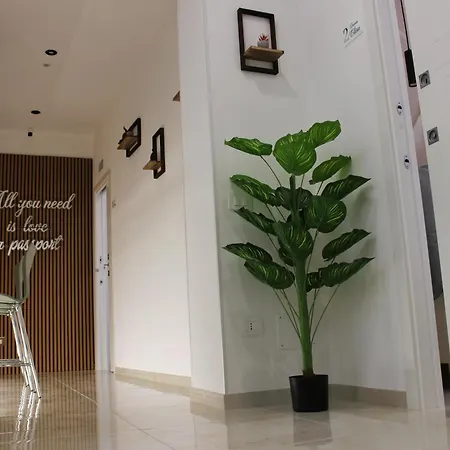 招待所 Le Coccinelle -